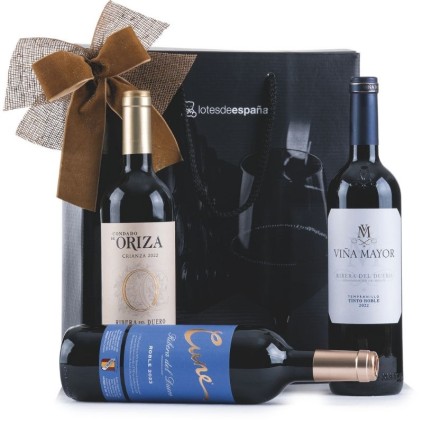Caja de Navidad con Vino ECONÓMICA ✅