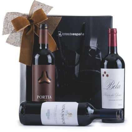 Caja de Navidad con Vino | Original y Económica ✅
