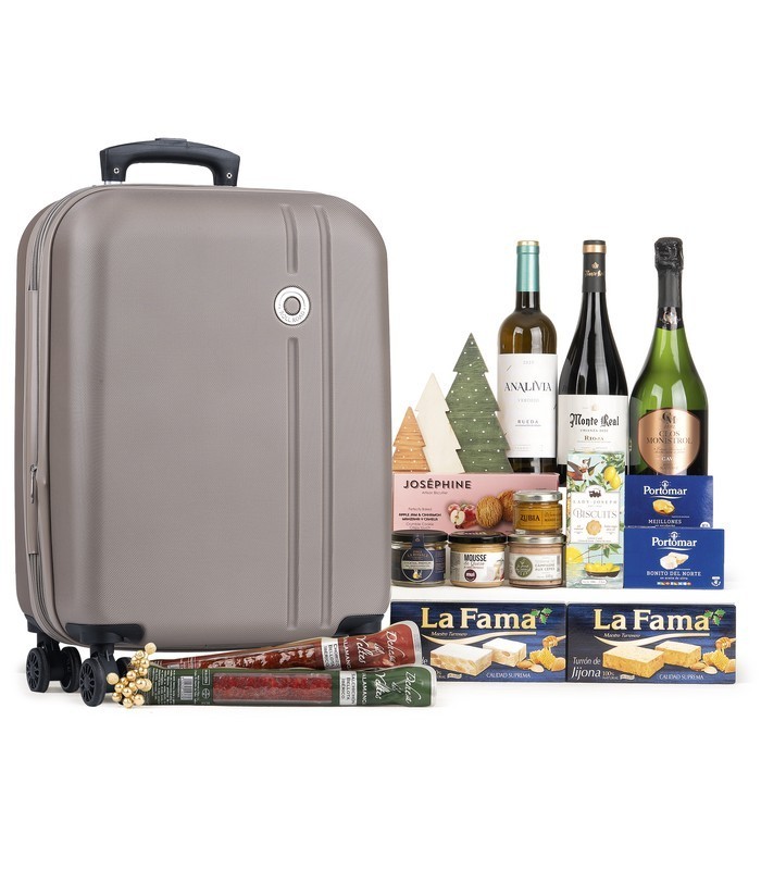 Lote con Maleta de Cabina Trolley Gris | Lotes de España 🧳