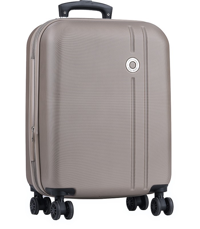 Lote con Maleta de Cabina Trolley Gris | Lotes de España 🧳