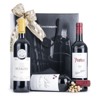 Estuche D.O. Ribera del Duero | Lotes de España 🍷