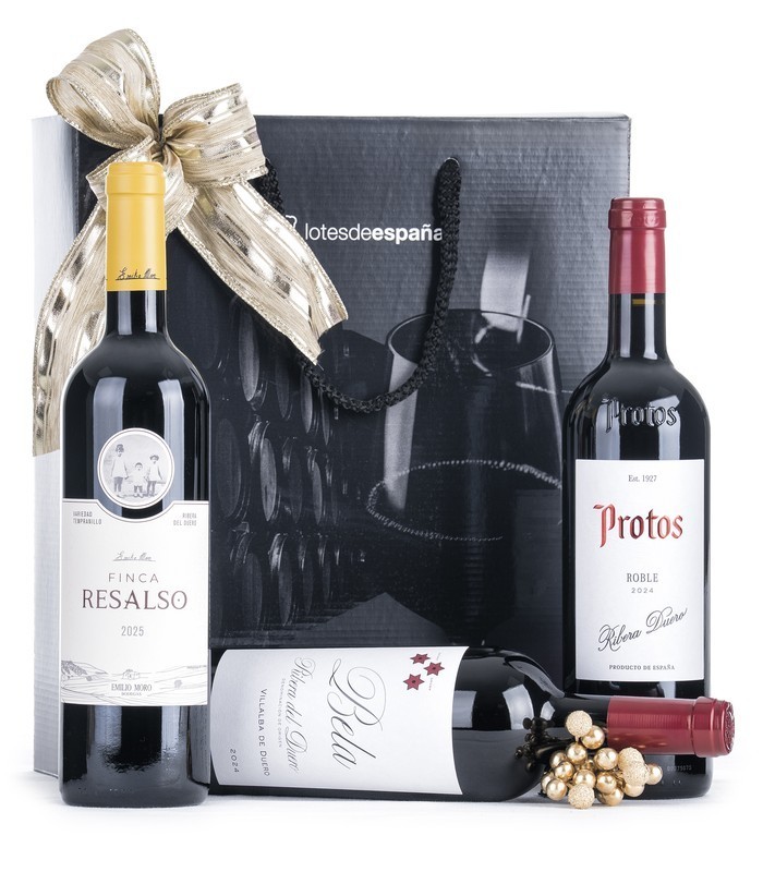 Estuche D.O. Ribera del Duero | Lotes de España 🍷